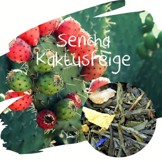 Sencha Kaktusfeige - Grner Tee mit tropisch fruchtigem Geschmack